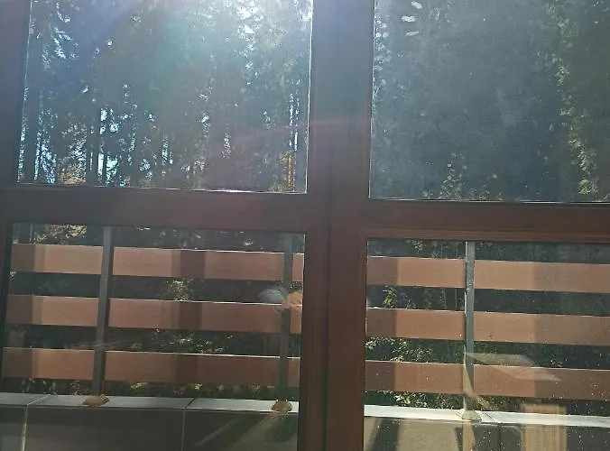 Private Nevena Apartament Pamporowo